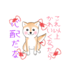 褒めて癒してくれる愛しの柴犬コタロウくん（個別スタンプ：8）