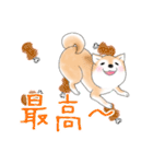 褒めて癒してくれる愛しの柴犬コタロウくん（個別スタンプ：18）