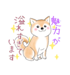 褒めて癒してくれる愛しの柴犬コタロウくん（個別スタンプ：21）