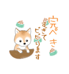 褒めて癒してくれる愛しの柴犬コタロウくん（個別スタンプ：23）