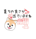 褒めて癒してくれる愛しの柴犬コタロウくん（個別スタンプ：24）