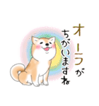 褒めて癒してくれる愛しの柴犬コタロウくん（個別スタンプ：25）