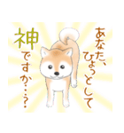 褒めて癒してくれる愛しの柴犬コタロウくん（個別スタンプ：26）