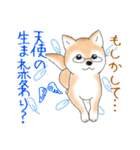 褒めて癒してくれる愛しの柴犬コタロウくん（個別スタンプ：27）