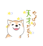 褒めて癒してくれる愛しの柴犬コタロウくん（個別スタンプ：31）