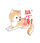 褒めて癒してくれる愛しの柴犬コタロウくん（個別スタンプ：33）