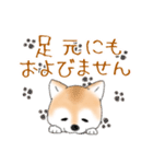 褒めて癒してくれる愛しの柴犬コタロウくん（個別スタンプ：37）