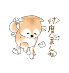 褒めて癒してくれる愛しの柴犬コタロウくん（個別スタンプ：40）