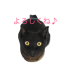 黒猫リボンの日常スタンプ♪（個別スタンプ：4）