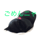 黒猫リボンの日常スタンプ♪（個別スタンプ：6）