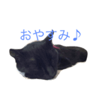黒猫リボンの日常スタンプ♪（個別スタンプ：7）