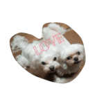 sweetie dogs（個別スタンプ：3）