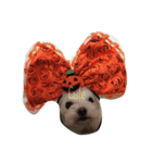 sweetie dogs（個別スタンプ：4）