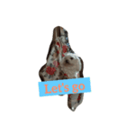 sweetie dogs（個別スタンプ：5）