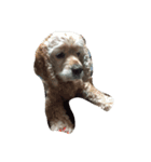 sweetie dogs（個別スタンプ：8）