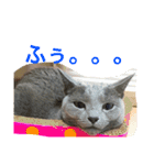 我が家のにゃんズ（個別スタンプ：9）