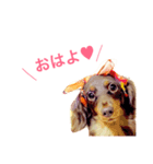 ラブさんの日常2（個別スタンプ：1）