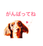 ラブさんの日常2（個別スタンプ：2）
