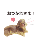 ラブさんの日常2（個別スタンプ：4）