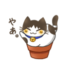 鉢猫と愉快な仲間たち（個別スタンプ：1）