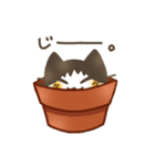 鉢猫と愉快な仲間たち（個別スタンプ：5）