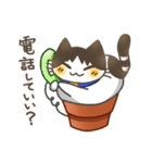 鉢猫と愉快な仲間たち（個別スタンプ：6）