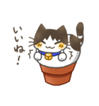 鉢猫と愉快な仲間たち（個別スタンプ：7）