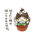 鉢猫と愉快な仲間たち（個別スタンプ：11）
