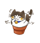 鉢猫と愉快な仲間たち（個別スタンプ：12）