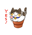 鉢猫と愉快な仲間たち（個別スタンプ：17）