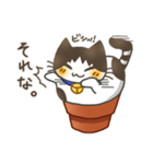 鉢猫と愉快な仲間たち（個別スタンプ：20）