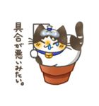 鉢猫と愉快な仲間たち（個別スタンプ：26）