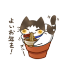 鉢猫と愉快な仲間たち（個別スタンプ：30）