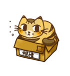 鉢猫と愉快な仲間たち（個別スタンプ：35）