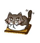 鉢猫と愉快な仲間たち（個別スタンプ：37）