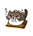 鉢猫と愉快な仲間たち（個別スタンプ：38）