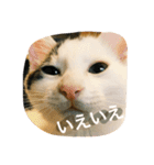 つつと剛（個別スタンプ：10）