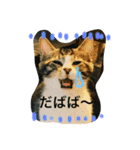 つつと剛（個別スタンプ：13）