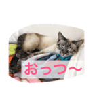 リオまるのクソスタンプ（個別スタンプ：1）