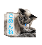 リオまるのクソスタンプ（個別スタンプ：2）