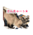 リオまるのクソスタンプ（個別スタンプ：3）