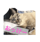 リオまるのクソスタンプ（個別スタンプ：4）