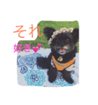 可愛すぎるワン（個別スタンプ：6）
