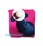 可愛すぎるワン（個別スタンプ：11）