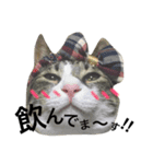王子と総理（個別スタンプ：4）