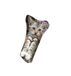 私は猫が好き（個別スタンプ：14）
