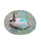 らぶらぶすたんぷ（個別スタンプ：3）