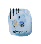 らぶらぶすたんぷ（個別スタンプ：6）