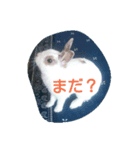 らぶらぶすたんぷ（個別スタンプ：7）