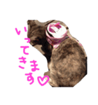 てんじじ（個別スタンプ：6）